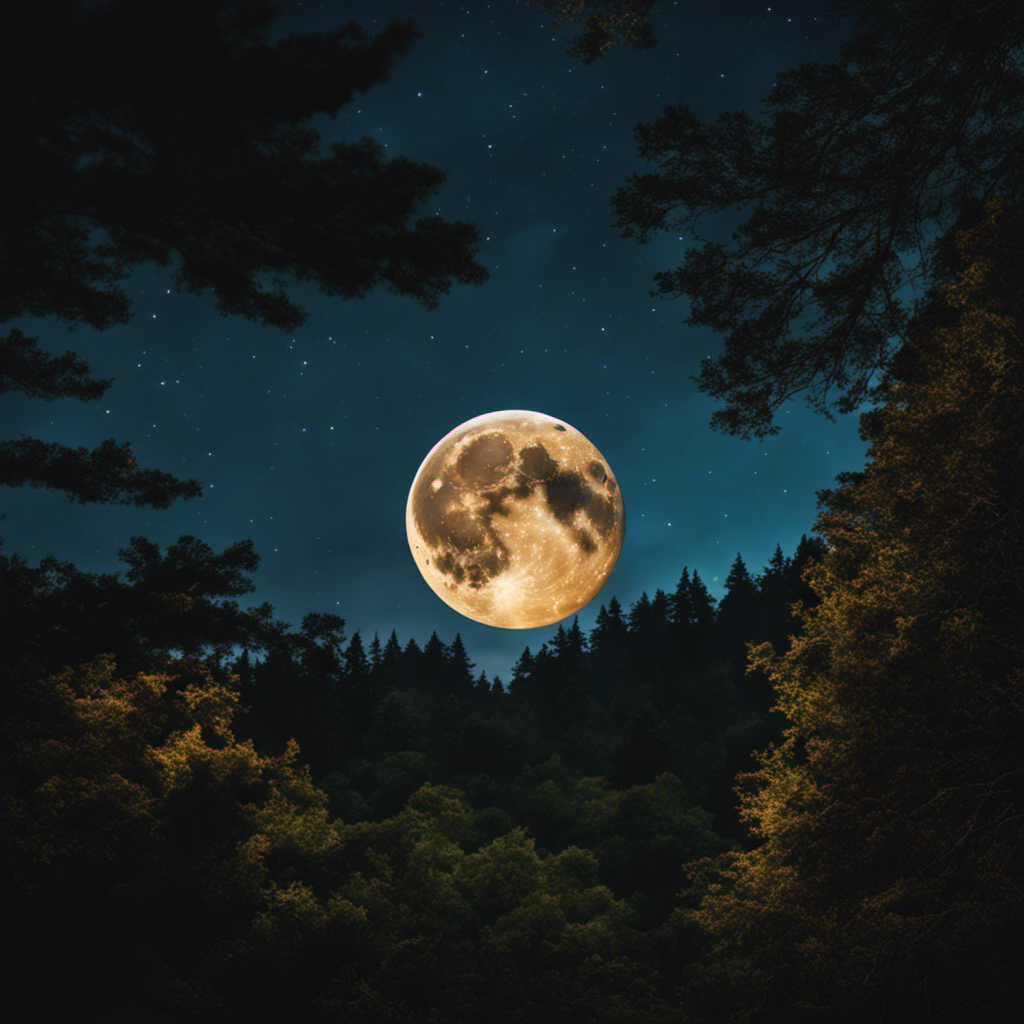 An image showcasing a serene night sky with a full moon shining above an enchanting forest